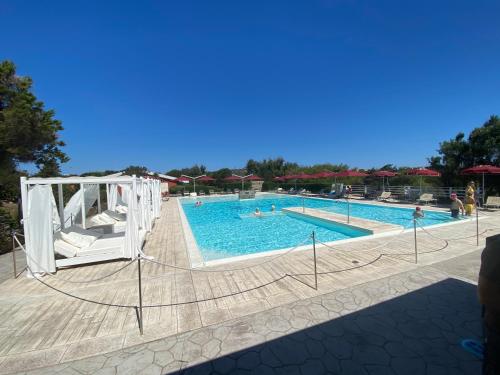 a swimming pool with people in the water at Club Esse Sporting in Stintino