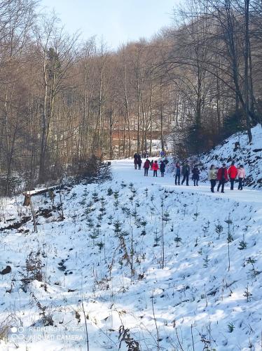 Zdjęcie z galerii obiektu Casa Haiducilor Brasov w Braszowie