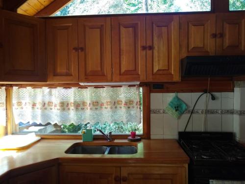 cocina con fregadero y ventana en Tu Casa en San Martín de los Andes en San Martín de los Andes