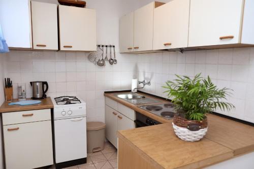 eine Küche mit weißen Schränken und einer Pflanze auf der Theke in der Unterkunft Apartment Meri in Trogir