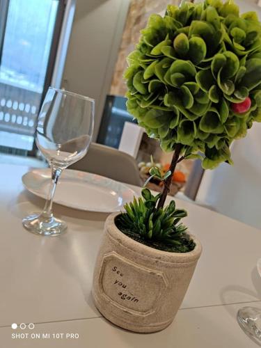 a green plant in a pot on a table with a glass at Anastasia apartments in Buşteni