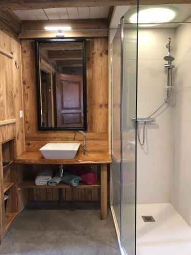 uma casa de banho com um lavatório e um chuveiro em Le Grenier em Marlenheim