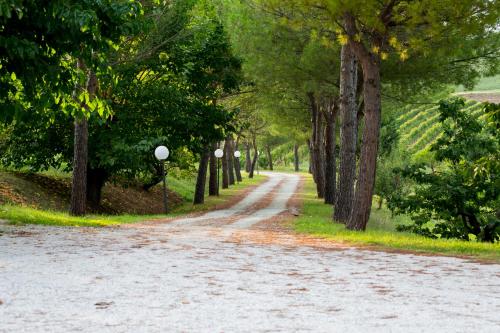 a dirt road with trees on either side at Villa Ca' Viola Rimini in Rimini