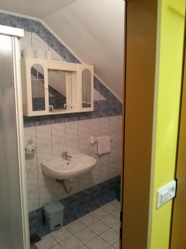 a bathroom with a sink and a mirror at Apartmaji in sobe Kocjančič in Podčetrtek