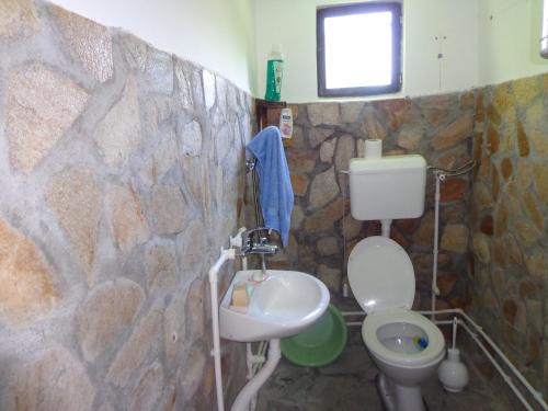 a stone bathroom with a toilet and a sink at Etno kuca Nikolov in Dimitrovgrad