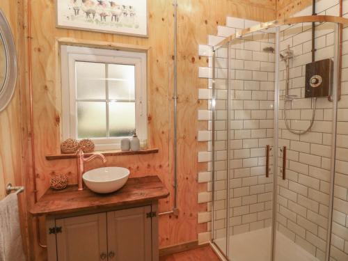 a bathroom with a sink and a shower at Bramley Orchard Glamping in Retford