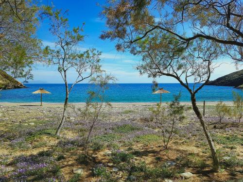 a beach with two straw umbrellas and the ocean at Under Royal Oaks in Péra Meriá