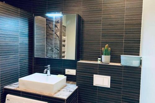 een badkamer met een wastafel en een spiegel bij Botanical Manor Apartment in Kaunas