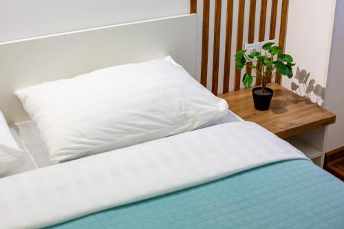 a bed with a pillow and a table with a potted plant at Cozy apartments center in Lviv