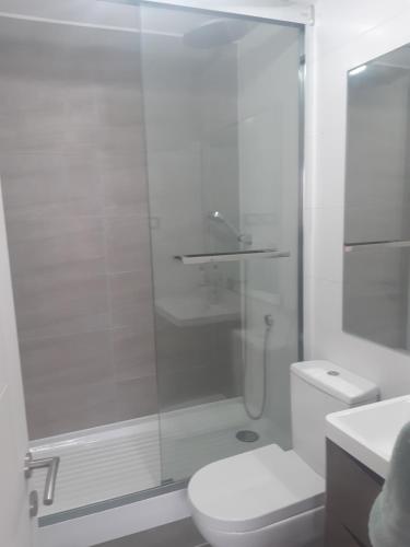 a white bathroom with a shower and a toilet at Pacifico 802 in Arica