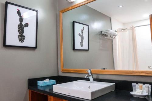 a bathroom with a sink and a mirror at Le Plaza Hotel in Port-au-Prince