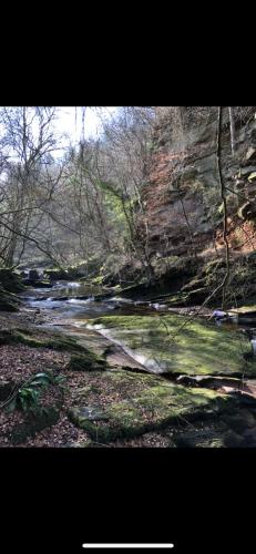 a picture of a river with trees and grass at String Of Horses in Carlisle