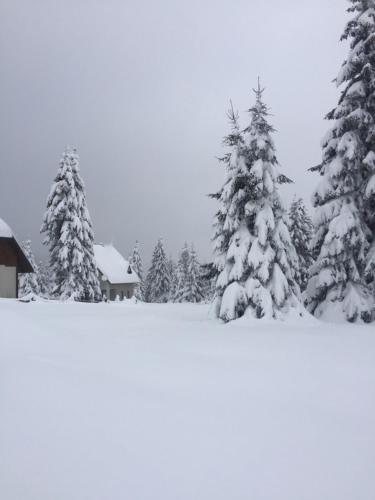 a group of snow covered trees and a cabin at Holiday Home Mrljes in Rast