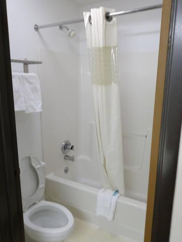 a white bathroom with a toilet and a shower at Country Hearth Inn & Suites - Kenton in Kenton