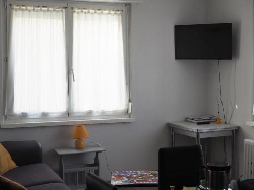 a living room with a couch and a tv and two windows at Gîte du héron in La Wantzenau