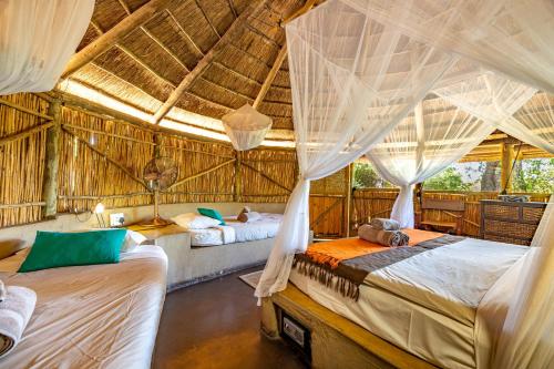 two beds in a room with mosquito nets at Umlani Bushcamp in Timbavati Game Reserve