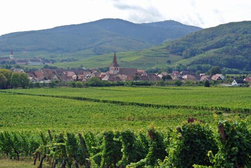 Foto La Maison Bleue 6