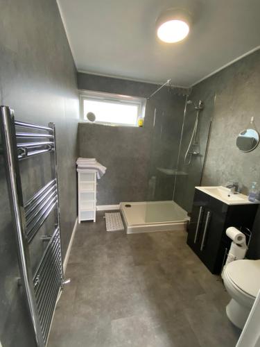 a bathroom with a shower and a toilet and a sink at 14 Easby Lane in Great Ayton