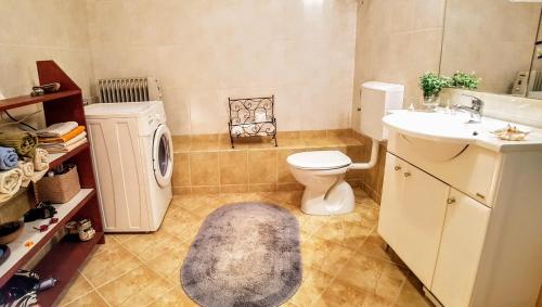 a bathroom with a toilet and a sink and a rug at Spacious garden house, Orebić (4+1) in Orebić