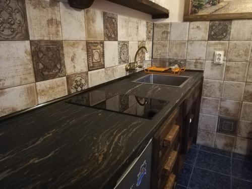 Kuchyň nebo kuchyňský kout v ubytování Guest House Fanny