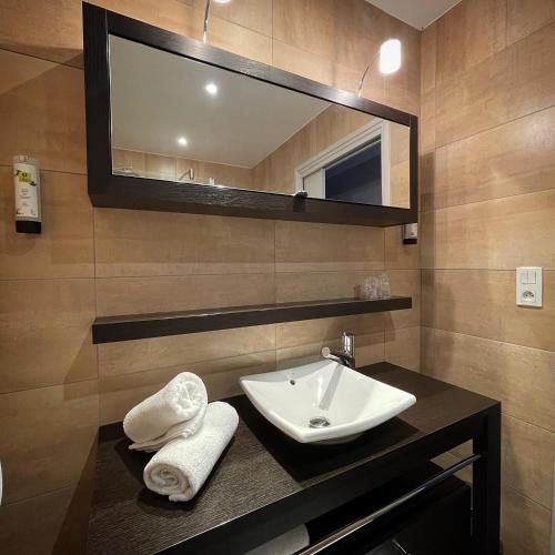 a bathroom with a sink and a mirror at Le Cheval Blanc - Lac du Der - Logis Hotel in Giffaumont