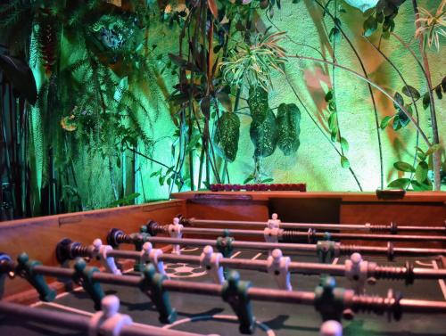 a row of benches with plants on a wall at Leo's Clan Beach Hostel in Paraty