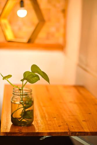 a plant in a mason jar on a wooden table at Paddies Homestay New in Cipaku-gede