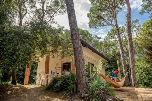 Arco Bungalow – Photos 5