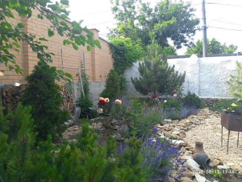 a garden with flowers and plants in front of a building at Guest House Serena in Chornomorsk