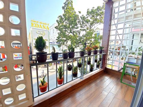 a balcony with a bunch of potted plants on it at Homestay Khoa Chaudoc in Chau Doc
