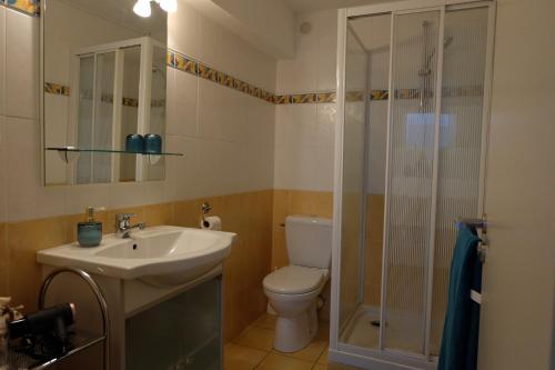 La salle de bains est pourvue de toilettes, d'un lavabo et d'une douche. dans l'établissement Très bel appartement (40m²) avec piscine privative, à Perpignan