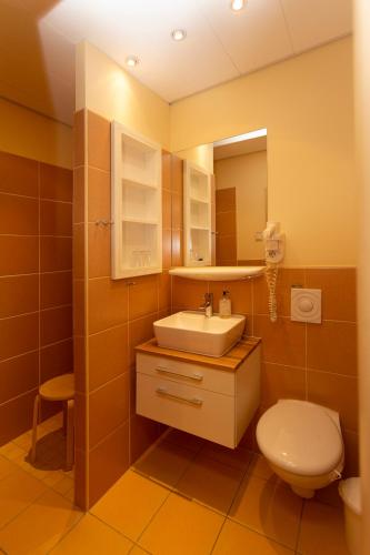 a bathroom with a sink and a toilet and a mirror at Drostenhaus Feldberg in Feldberg