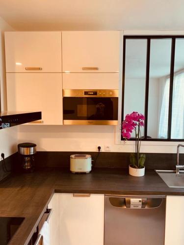 une cuisine avec un évier et une plante en pot sur le comptoir dans l'établissement Appartement Spacieux Centre Gare Visitation, à Angers