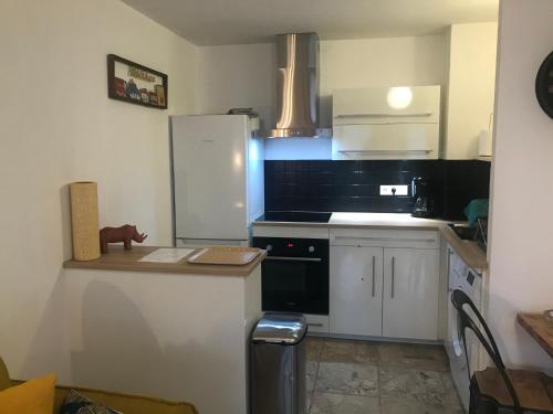 昂布朗的住宿－les saluces N51，厨房配有白色冰箱和炉灶。