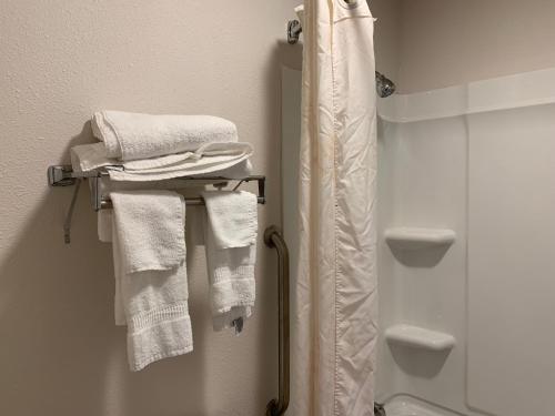 baño con toallas blancas colgadas en un estante en Econo Lodge Troy, en Troy