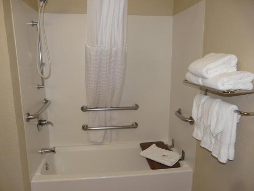 Comfort Inn Fort Myers Northeast tesisinde bir banyo