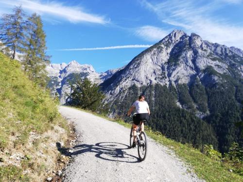 Imagen de la galería de Ferienwohnungen Fichtenheim, en Mayrhofen