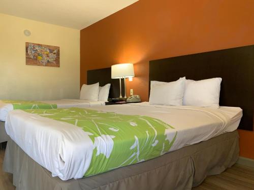 ドーサンにあるEcono Lodge Dothan Westのベッド2台が備わるホテルルームの大型ベッド1台分です。