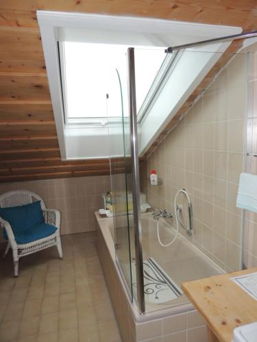 a bathroom with a shower and a tub with a skylight at FW Zauberblick in Zwiesel