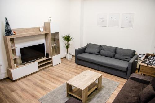 a living room with a couch and a television at 4Seasons in Sajmište