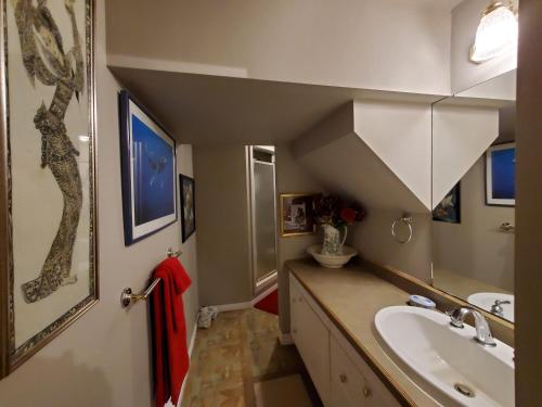 a bathroom with a sink and a mirror at Shambhala Bed and Breakfast in Buckhorn