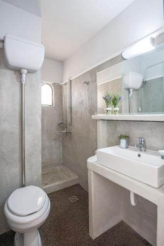 a bathroom with a toilet and a sink and a shower at Hotel Asteroa in Ancient Epidauros