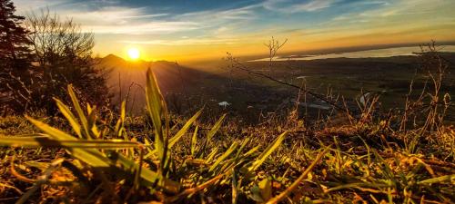 a sunset on top of a hill with grass at Ferienwohnung Reisenauer in Marquartstein