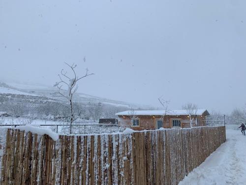 Gallery image of להנות מהטבע in Majdal Shams
