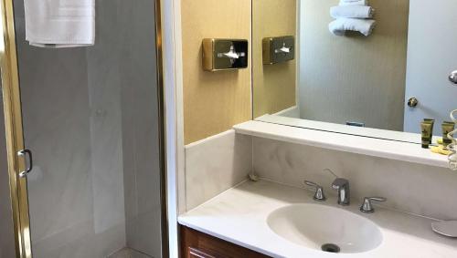 Un baño con lavabo, espejo y ducha. en Pacific Heights Inn, en San Francisco