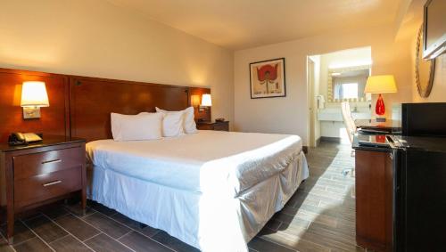 a hotel room with a large bed and a television at Magnuson Extended Stay and Suites Airport Hotel in Irving