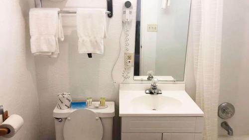 La salle de bains est pourvue d'un lavabo, de toilettes et d'un miroir. dans l'établissement M Star Hotel Mansfield, à Mansfield
