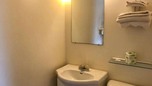 a bathroom with a sink and a toilet and a mirror at Motel Forrest Rockville in Rockville
