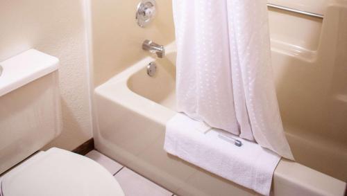 a bathroom with a toilet and a shower curtain at Magnuson Hotel Country Inn in Ishpeming
