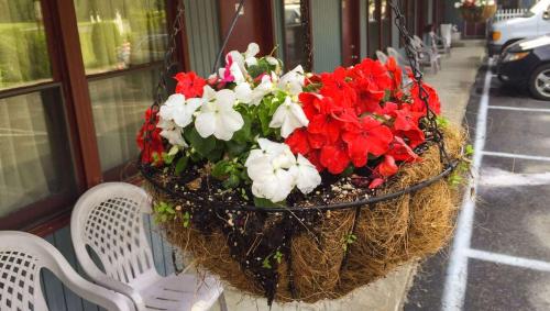 a basket of red and white flowers on a wall at Pleasant Valley Motel West Stockbridge in West Stockbridge